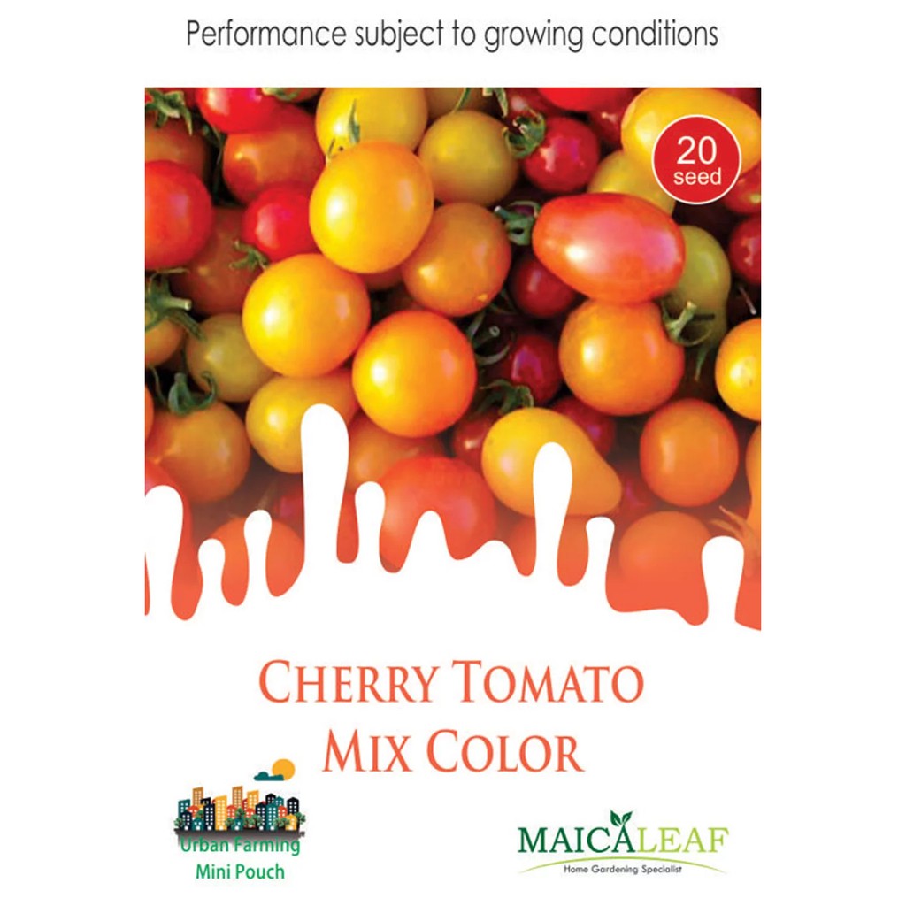 Benih Tomat Cherry/Bibit Tomat Cherry Mix Color isi 20 Benih