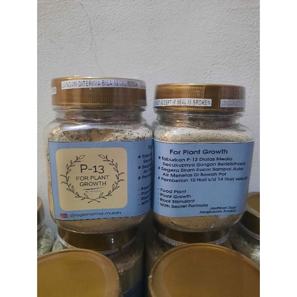 Pupuk Tanaman P13 (Mini) Untuk Aglonema