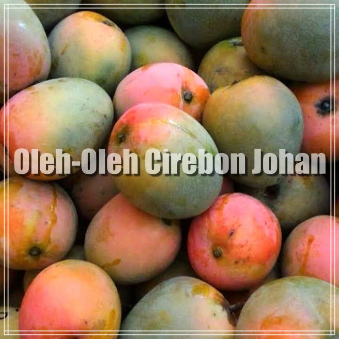 

Mangga Gedong Gincu Super Mateng Pohon