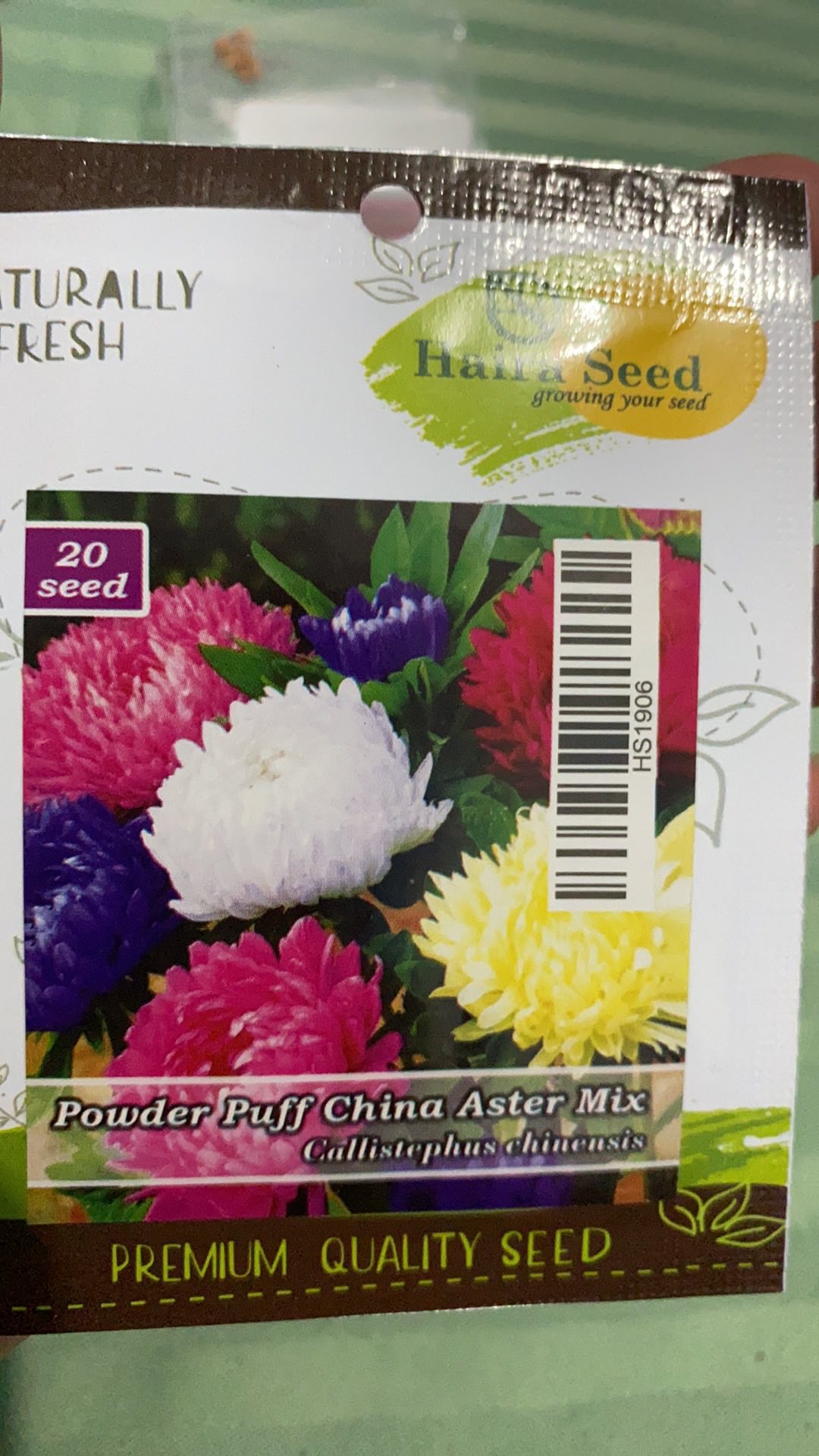 Benih/biji Bunga Aster