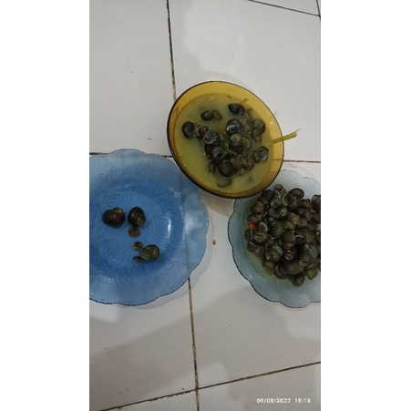 

Aneka makanan lezat dan bergizi