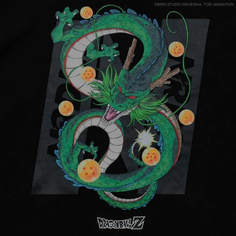 NRDN x DRAGONBALL Z Sweater Hoodie Shenron