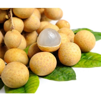 

BUAH KELENGKENG / LONGAN JUMBO MANIS DAN SEGAR 500 GR