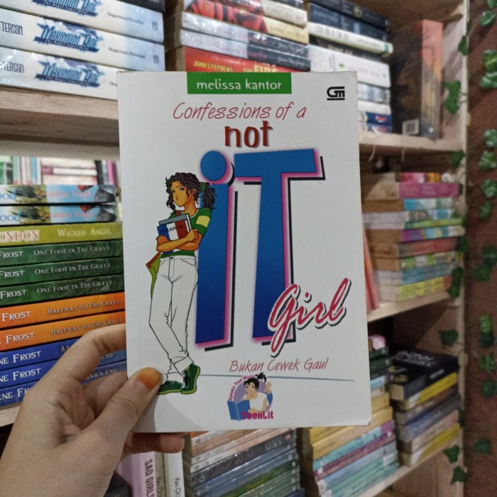Novel Confession Of A Not It Girl Melissa Kantor preloved original
