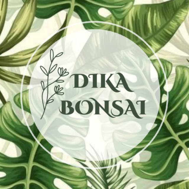 dika_bonsai