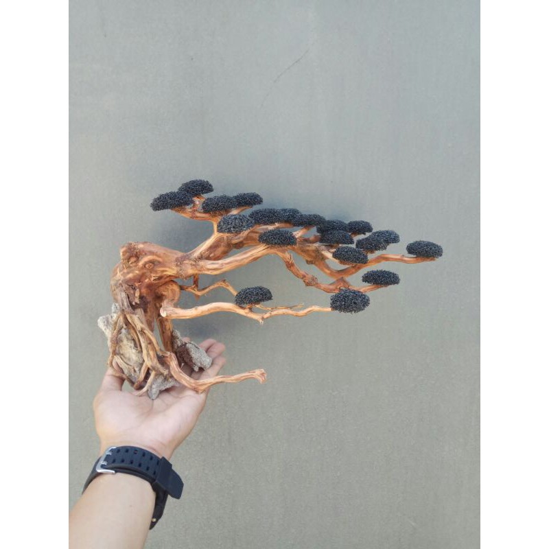 Bonsai aquascape AH001 doyong