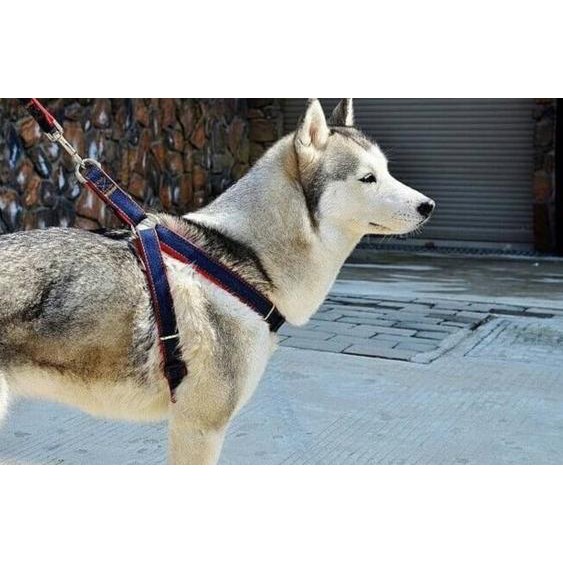 Ready Dog Harness Leash Tali Tuntun Anjing Pet Harness Pet Leash