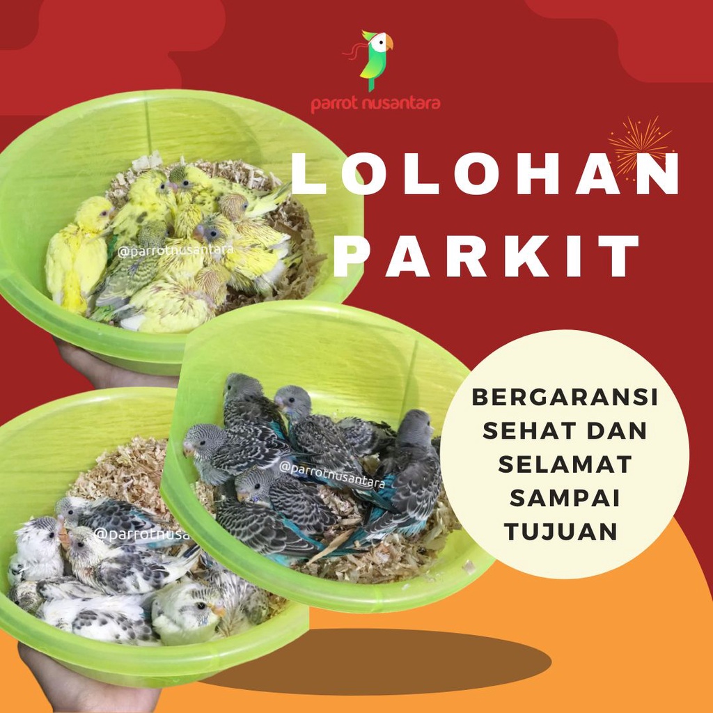 parkit lolohan warna warni