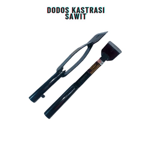 DODOS KASTRASI SAWIT