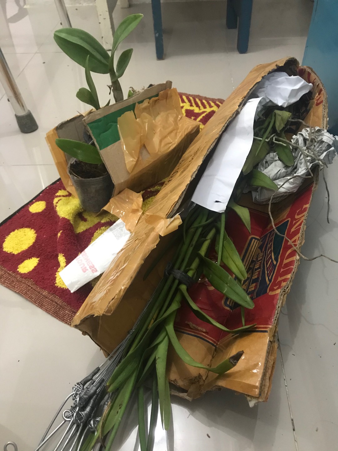 Kawat Gantungan Pot/kawat Gantungan Anggrek Kaki 4