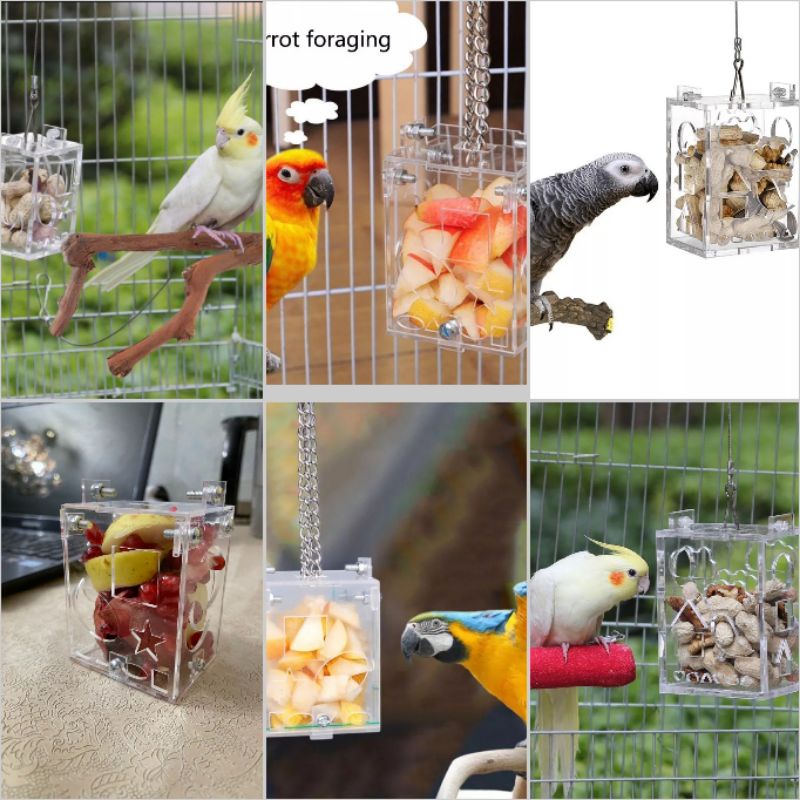 Toys burung Parrot glass box nuri afgrey kakatua macau