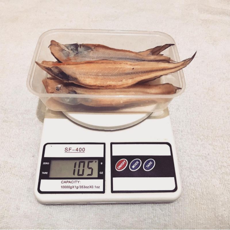 Jual Gr Ikan Asin Lendra Shopee Indonesia