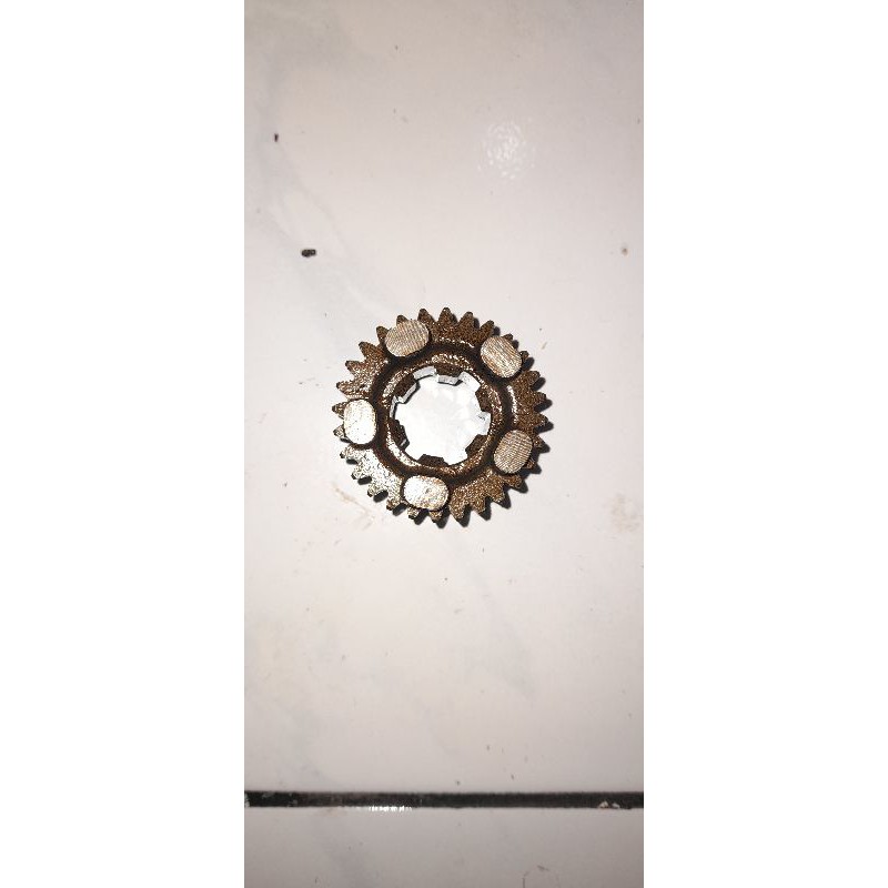 gigi 5 rasio tiger mata 28