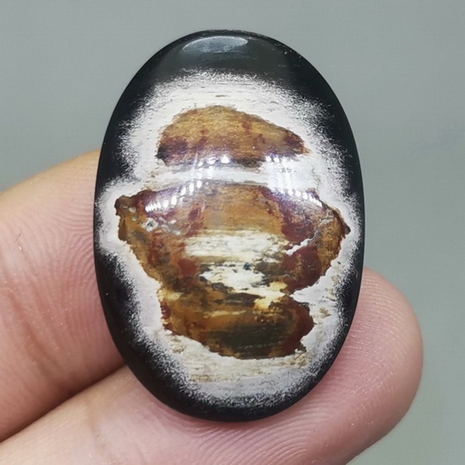 Batu Akik Asli Fosil Galih Kelor Unik Bagus