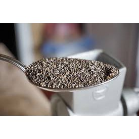 Biji Chia Seed Organik 500 gr Nowhealth Biji Cia ChiaSeed Hitam Mexico Premium