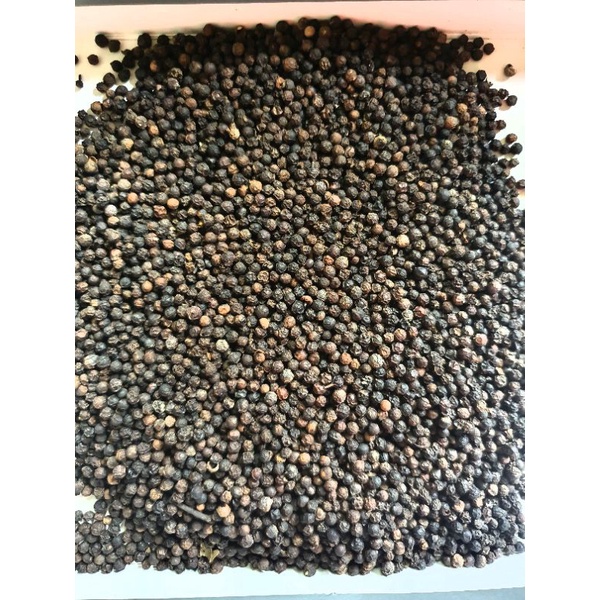 

Biji Lada Merica Hitam Murni Pure Whole Black Pepper