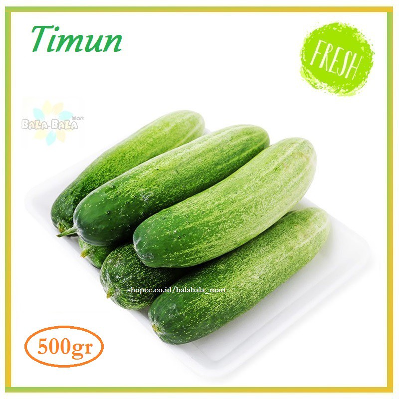 

MENTIMUN / KETIMUN FRESH