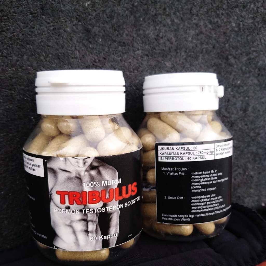 AMINO / WHEY / GAINER TRIBULUS TESTO BOOSTER