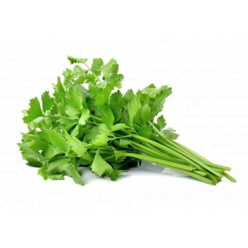 

Daun Seledri per pack
