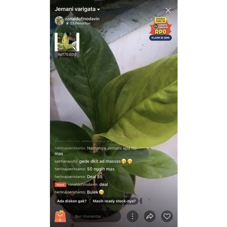 live sale jemani jaipong