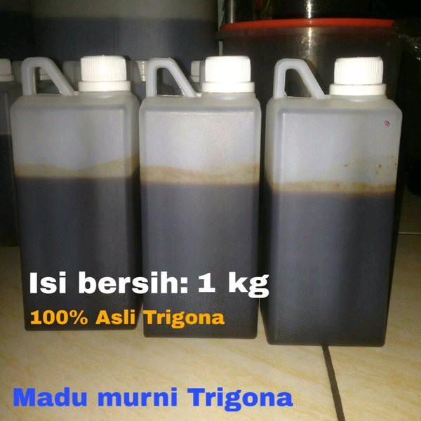 Madu klanceng asli 1 kg madu murni