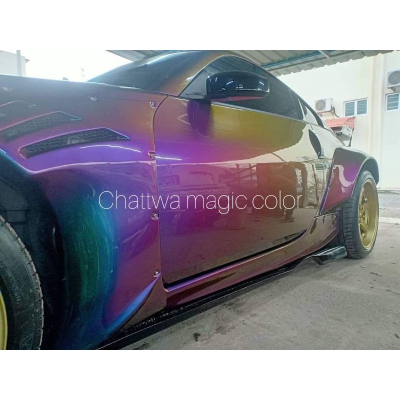 Cat bunglon chameleon