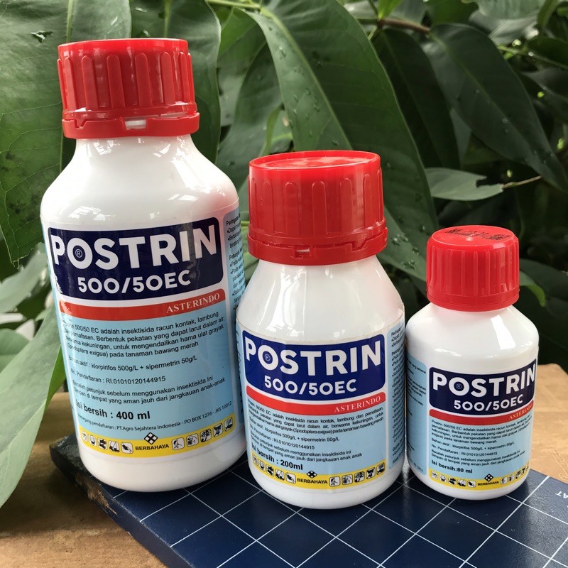 INSEKTISIDA POSTRIN 500/50 EC bahan aktif : klorpirifos dan sipermetrin