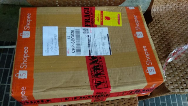 Tanaman Bunga Aster 4-6 Batang