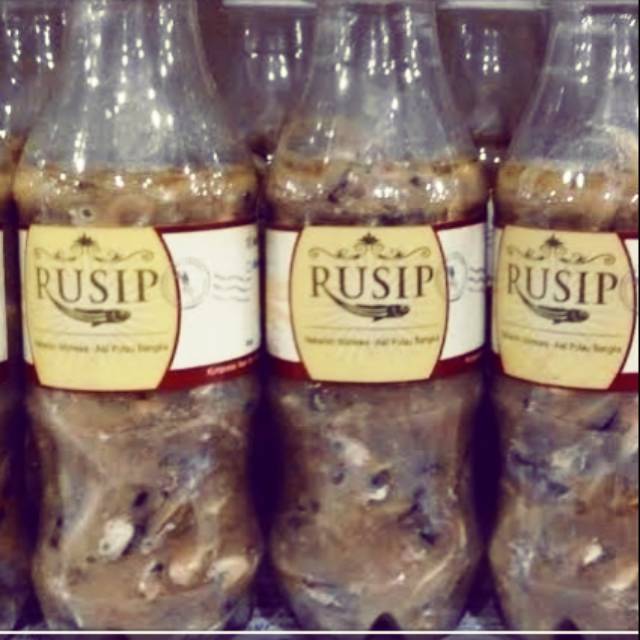 

Rusip Bangka