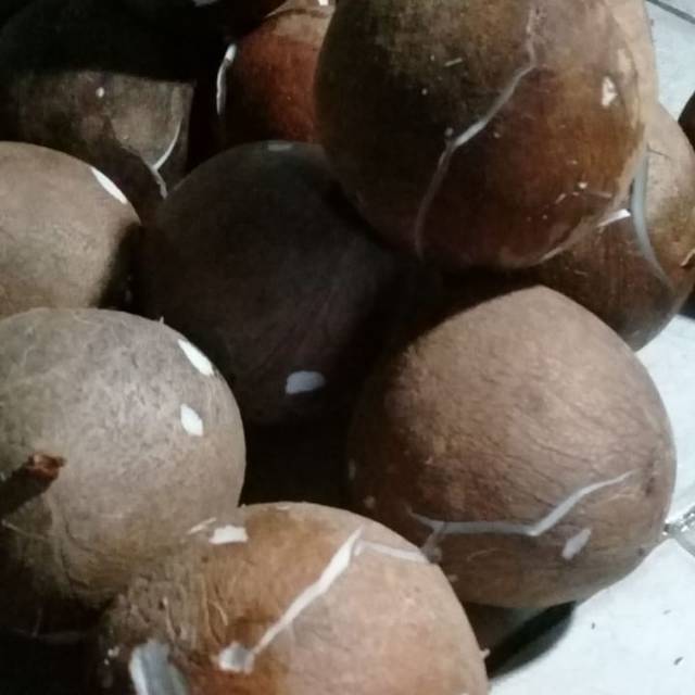 

KELAPA