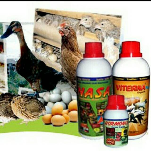 ORIGINAL Paket Ternak Nasa Vitamin Ayam Penggemuk Sapi Penggemuk Ternak Nasa Resmi Jakarta