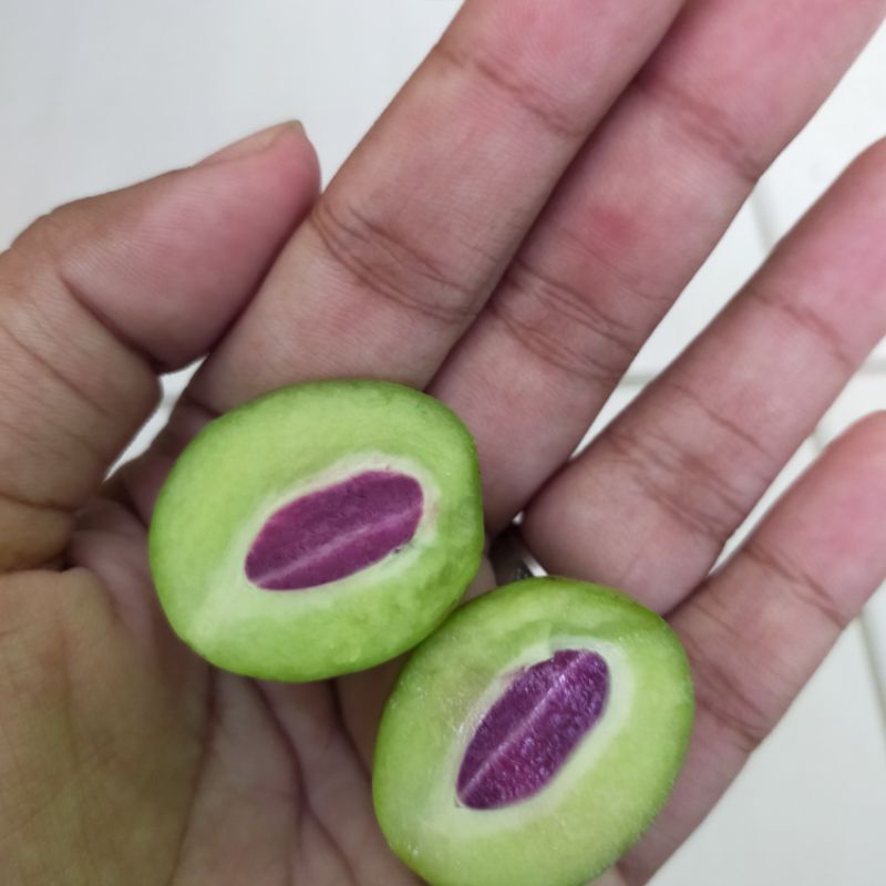 

buah Gandaria 1000gr