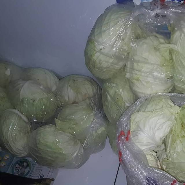 

Sayur Kol fresh