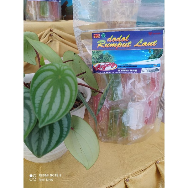 

AnjungDodolRumputLaut