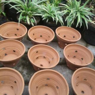 POT ANGGREK TARAKOTA GERABAH TANAH LIAT Shopee Indonesia POT ANGGREK TARAKOTA GERABAH TANAH LIAT Shopee Indonesia