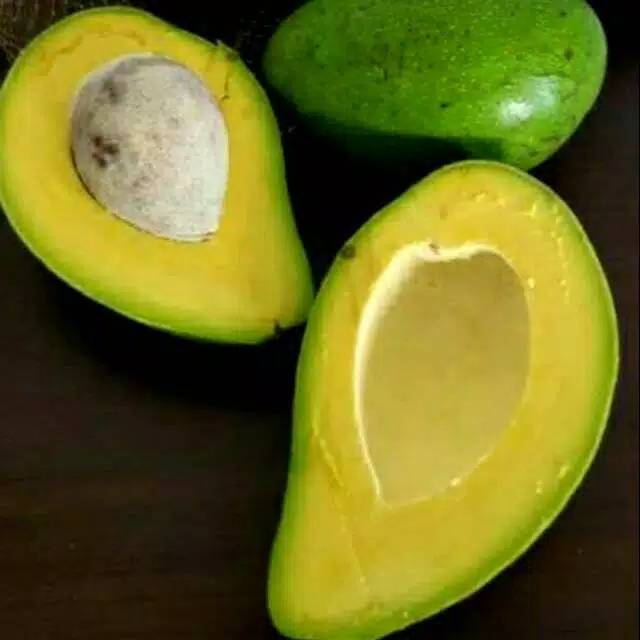 

Alpukat Mentega Super