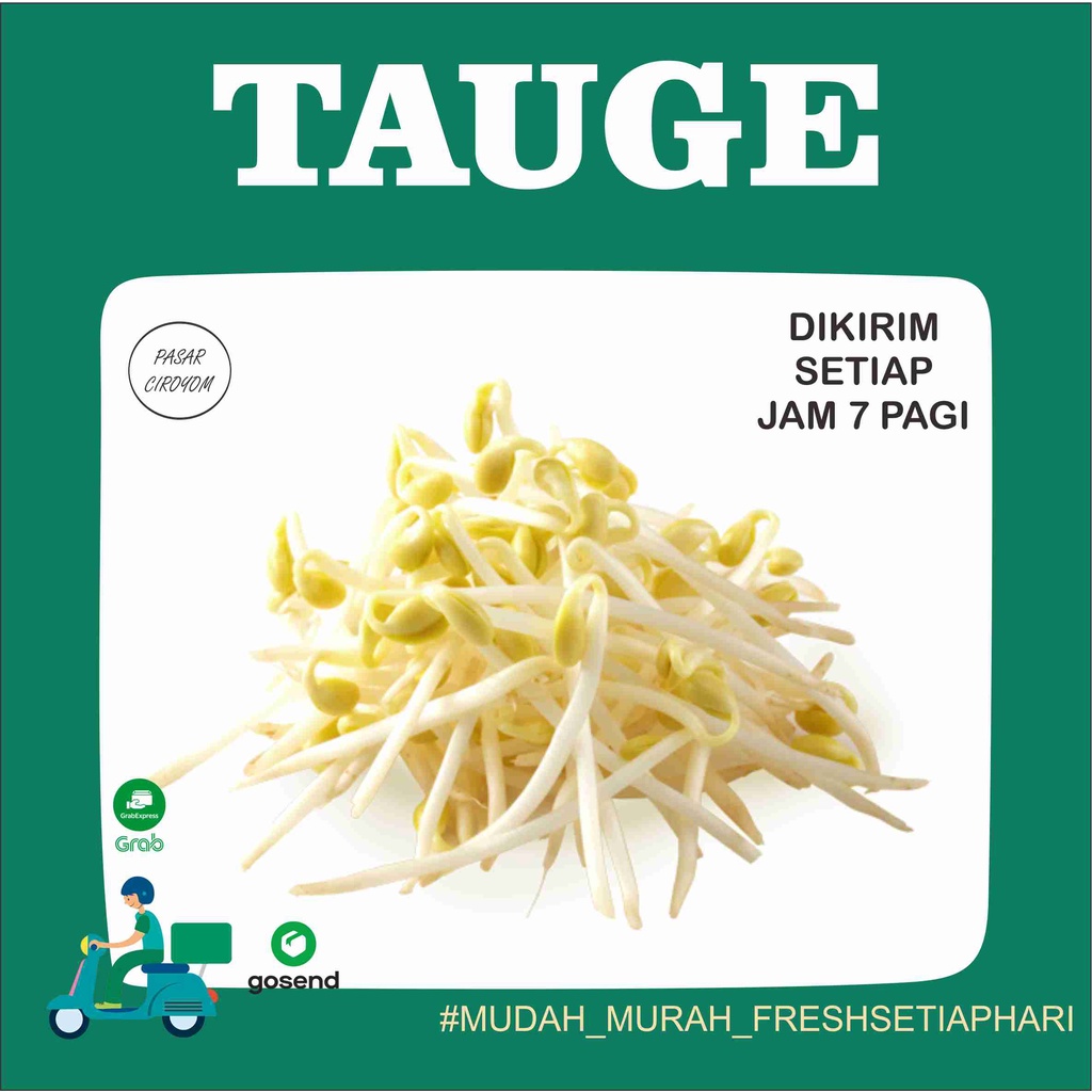 

TAUGE TOGE FRESH MURAH BANDUNG 250g / SAYUR ONLINE