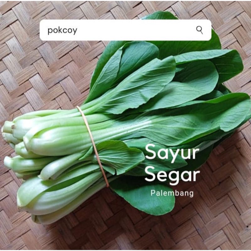 

Pokcoy Per ikat Sayur Segar Palembang