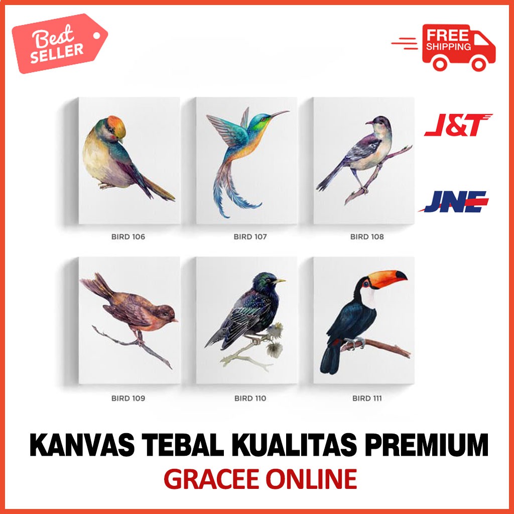 Hiasan Dinding Bird Kanvas Burung 20x25cm J4R4 Dekorasi Dinding Wall