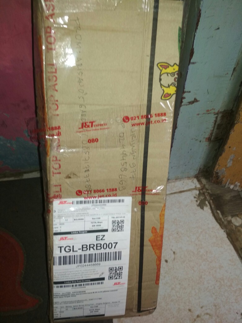 Prospek Bonsai Anting Putri _ Wrightia Religiosa _ Bahan Cepat Jadi!