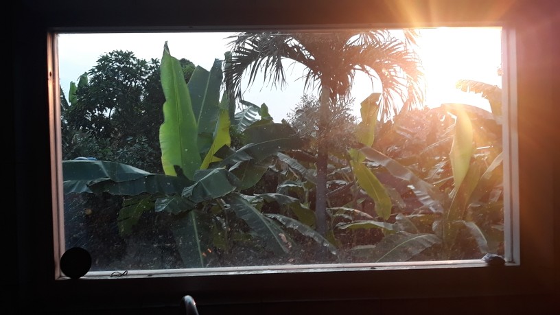 Rapika Pelicin Pakaian Soft Sakura Fast Smoothing Action Pouch 400ml