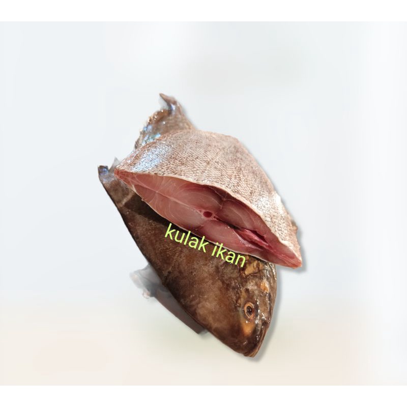 

Bawal laut potongan 1/2kg