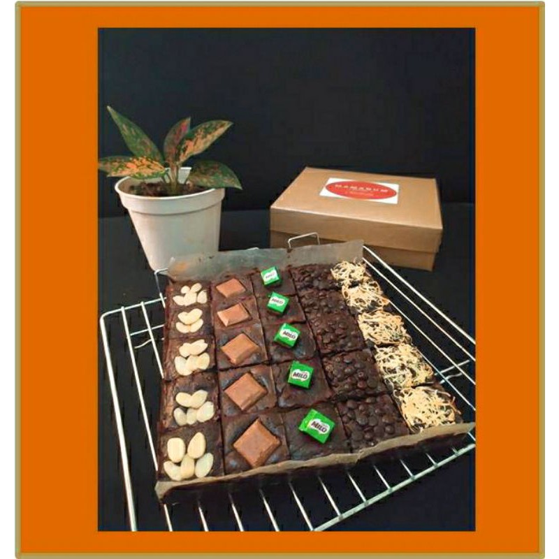 

Fudgy Brownies Sekat Large