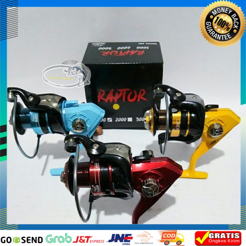 Reel Lizard Raptor 1000