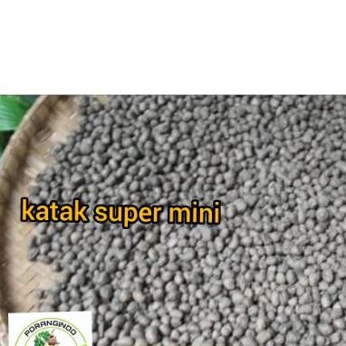 Bibit porang dorman| Katak super mini per kilo