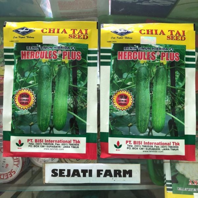 Benih Timun - HERCULES PLUS