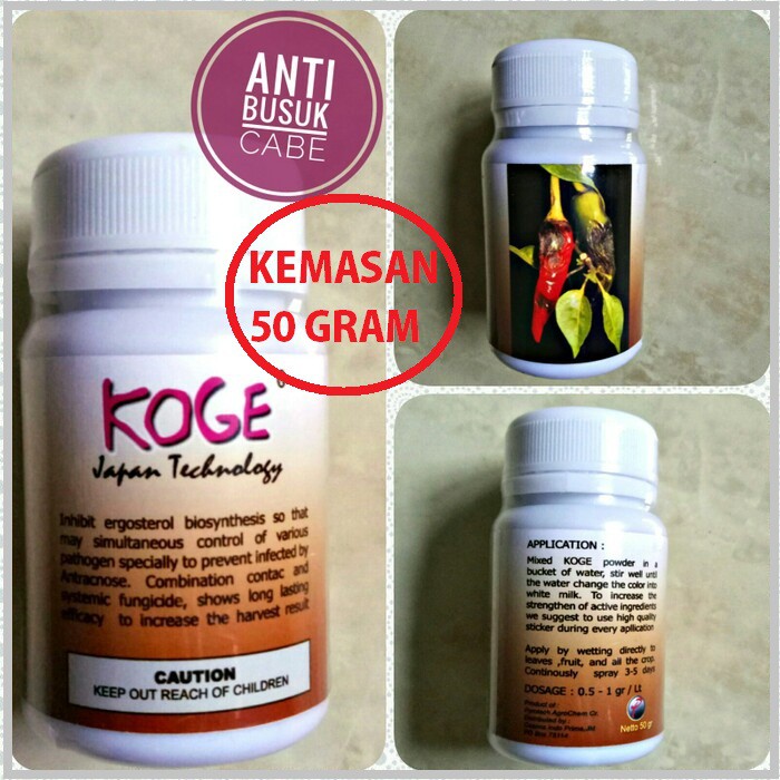 KOGE 50gr,Obat cabe busuk,Obat pertanian cabe,Obat cabe