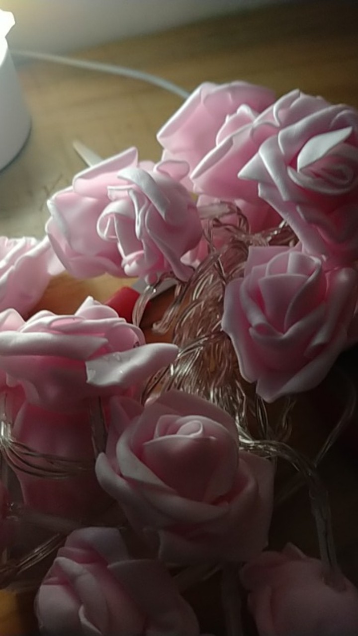 3 Meter 20LED Lampu LED Bunga Mawar Spon LED Dekorasi Pernikahan Rose Light Baterai Hiasan Ruangan Shopee Indonesia