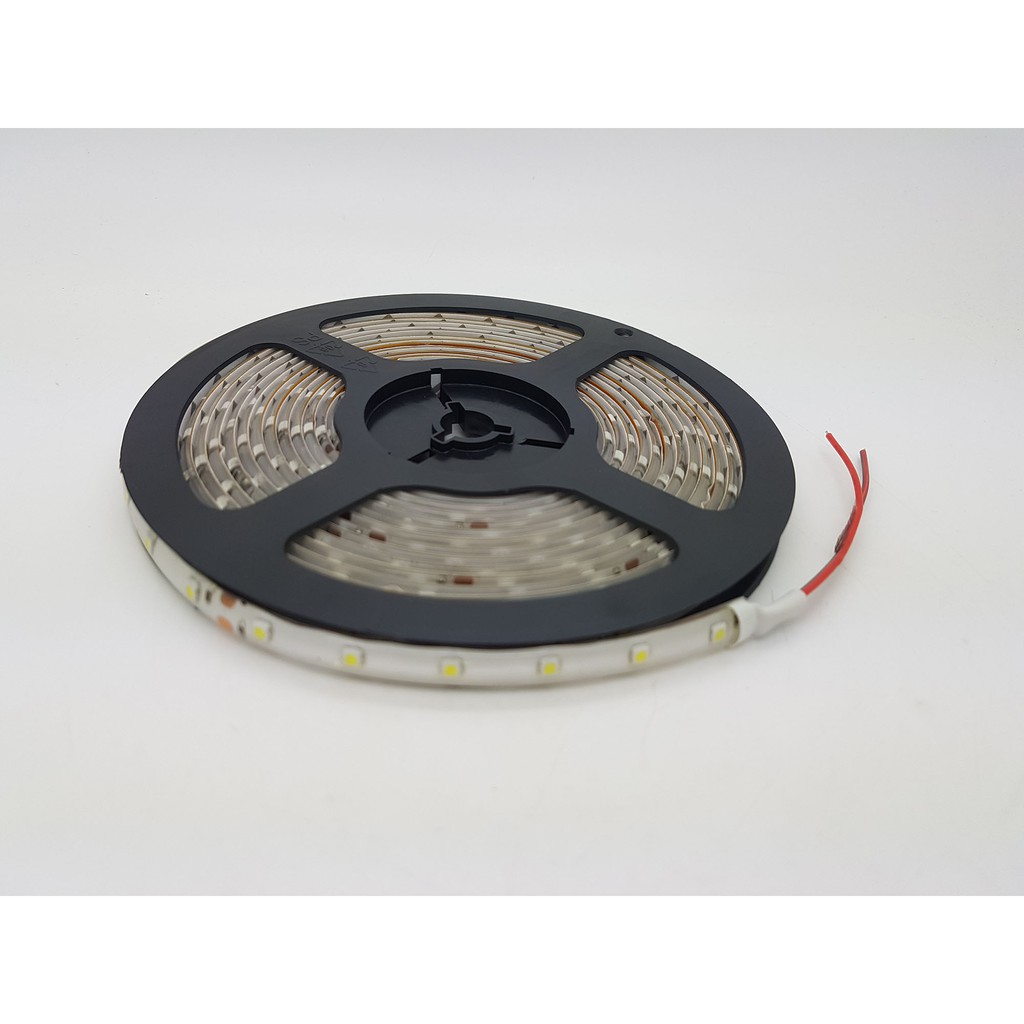 24V DC cahaya PUTIH Flex Led Strip 3528 SMD waterproof 5 meter