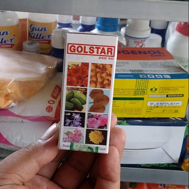 pupuk mempercepat buah Golstar 30ml
